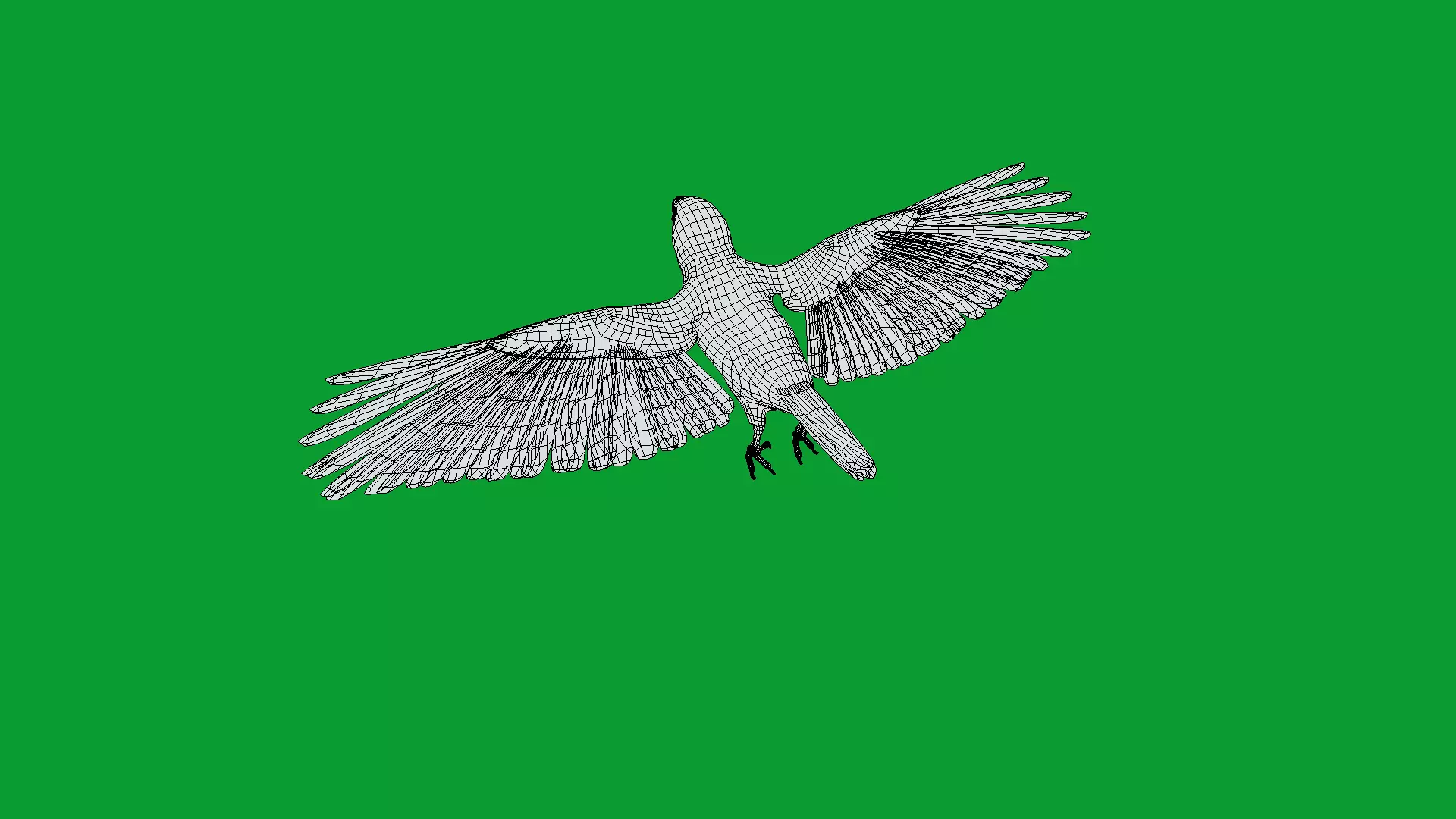 Asian Golden Weaver Bird Low-poly 3D model_27