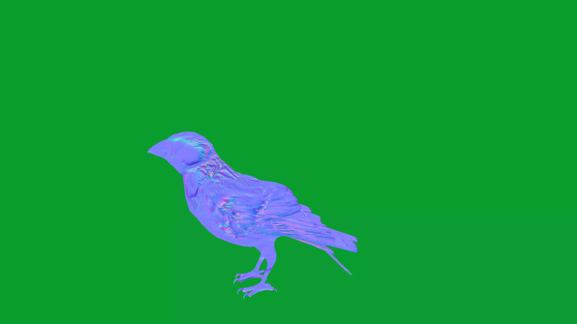 Asian Golden Weaver Bird Low-poly 3D model_45