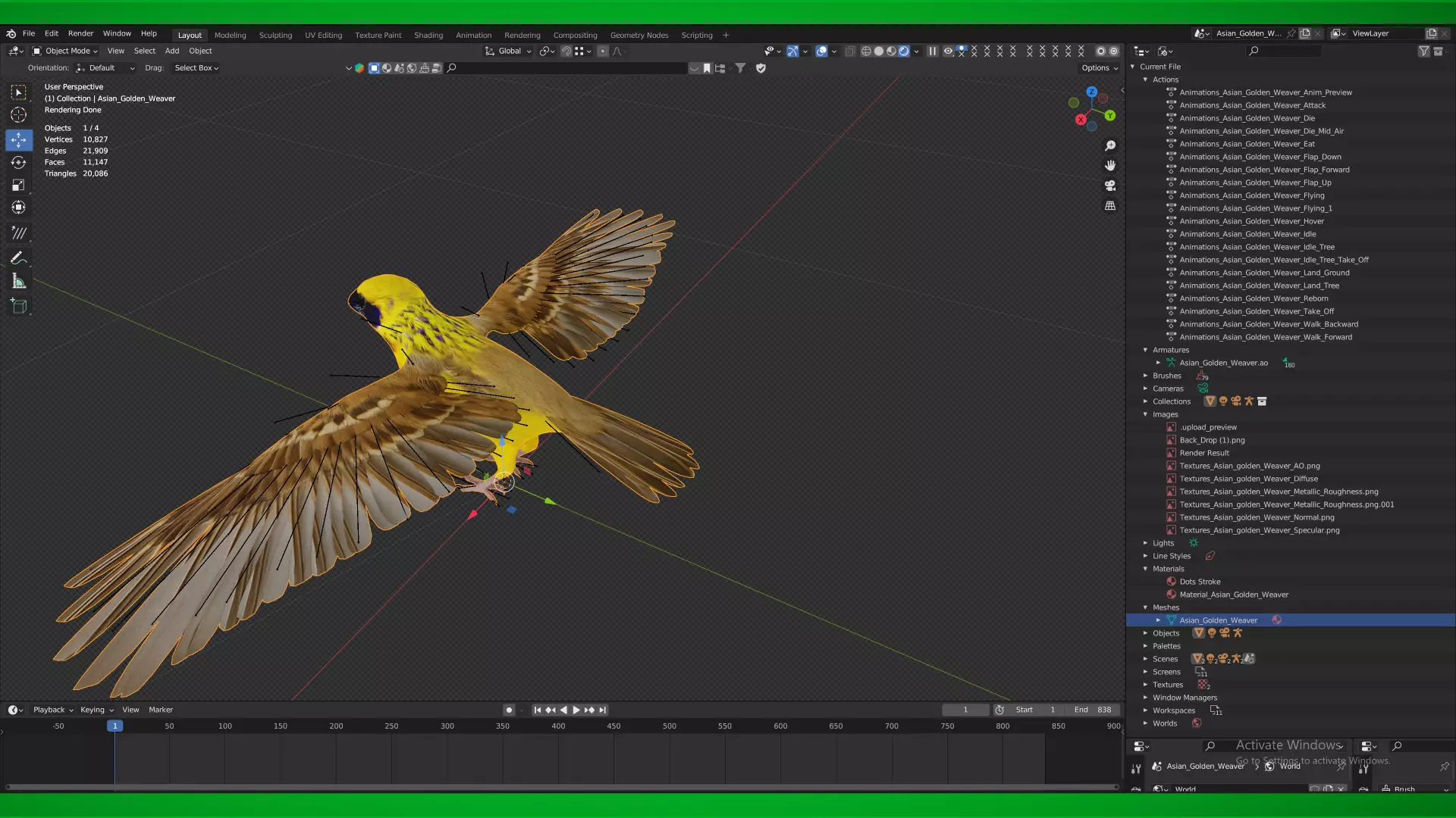 Asian Golden Weaver Bird Low-poly 3D model_4