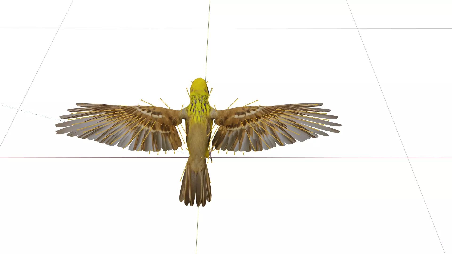 Asian Golden Weaver Bird Low-poly 3D model_18