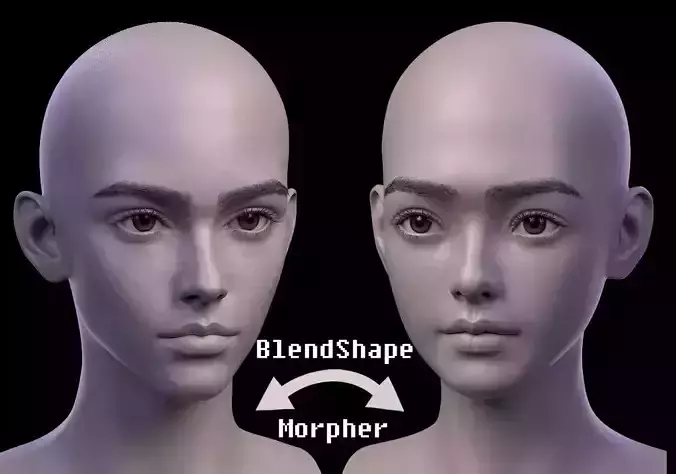 Morpher BlendShape  European asian Female face head 3D model