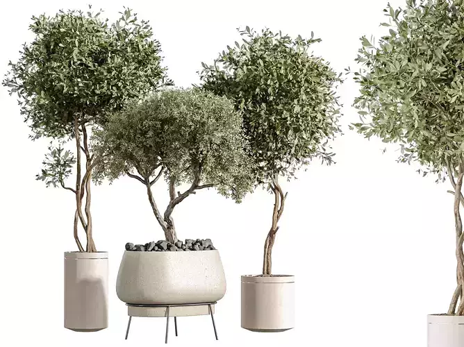AV Indoor Plants Set 302 Mission olive