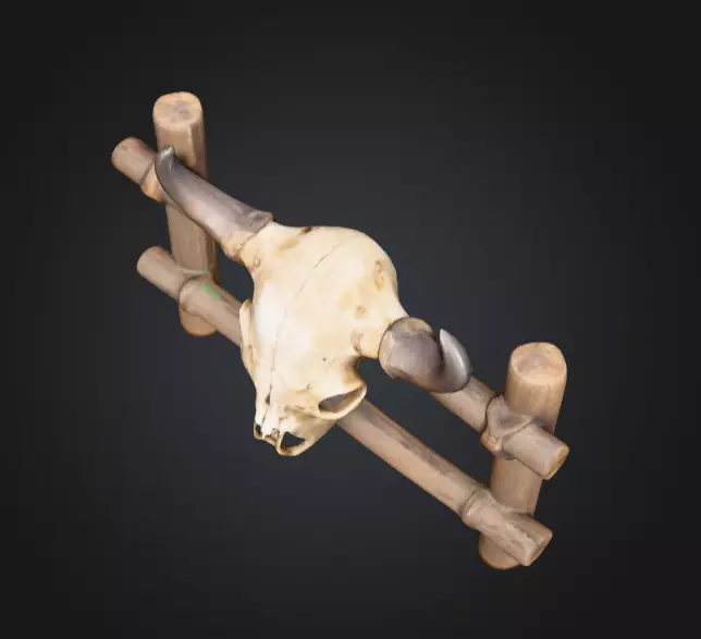 Wooden Fence with Bull Skull Head Low-poly 3D model_14