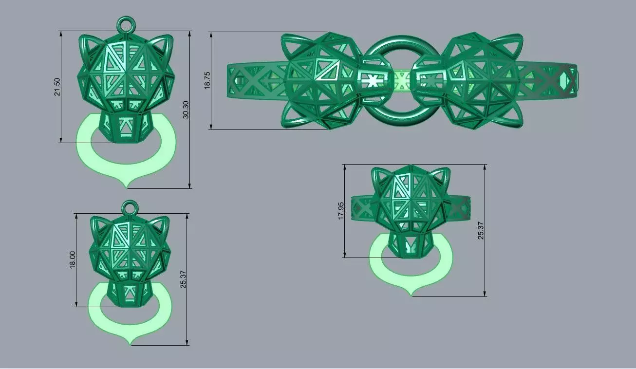 Leopard or Panther head set 3D print model_5