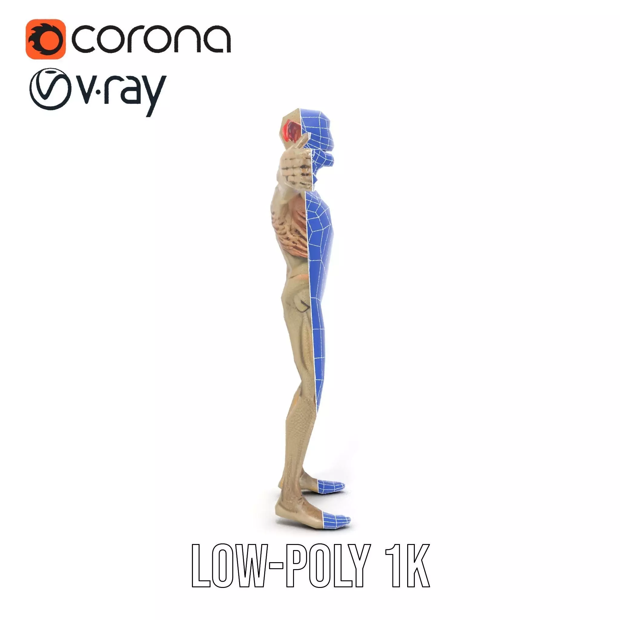 Fantasy Creature Skeleton model pack Low-poly 3D model_17