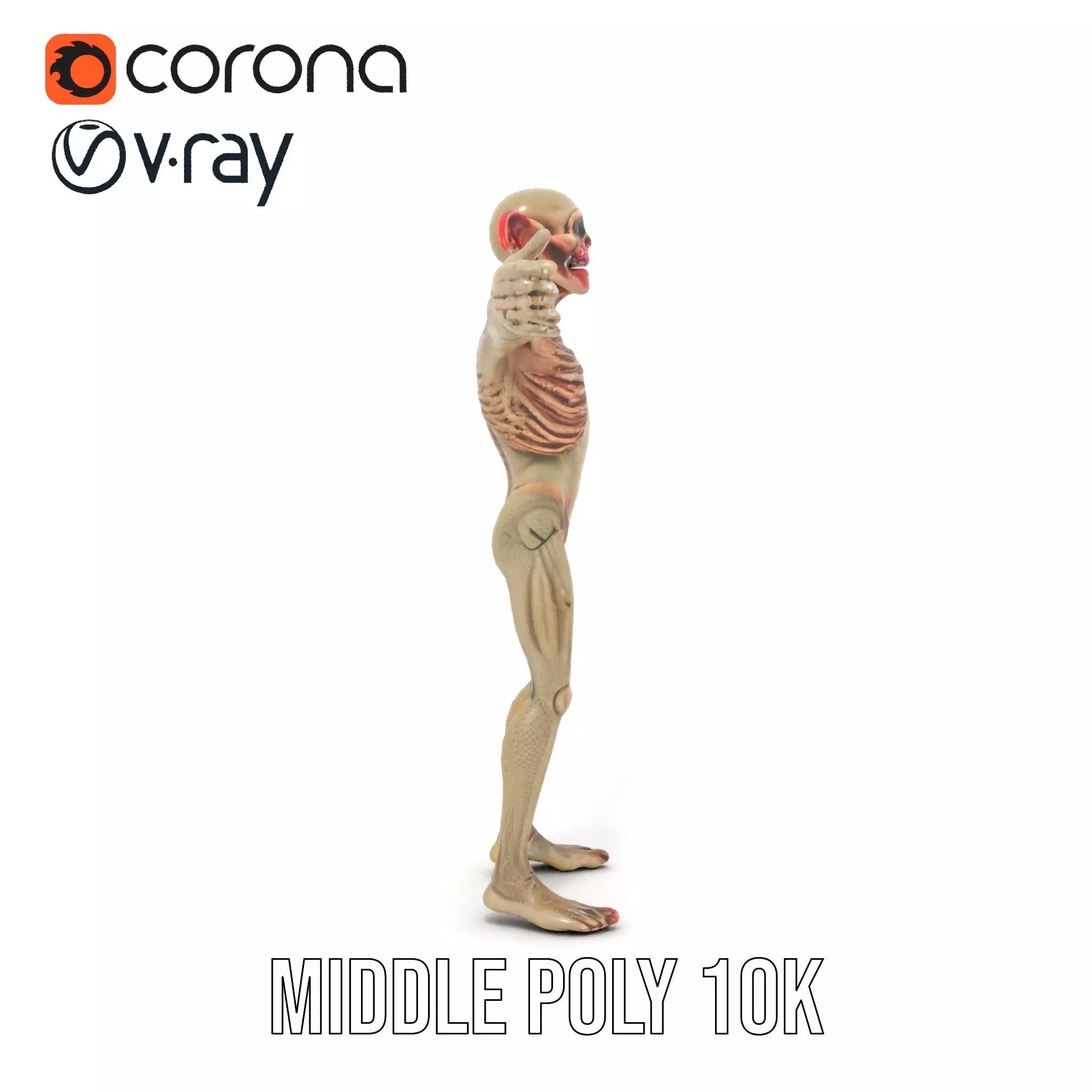 Fantasy Creature Skeleton model pack Low-poly 3D model_13