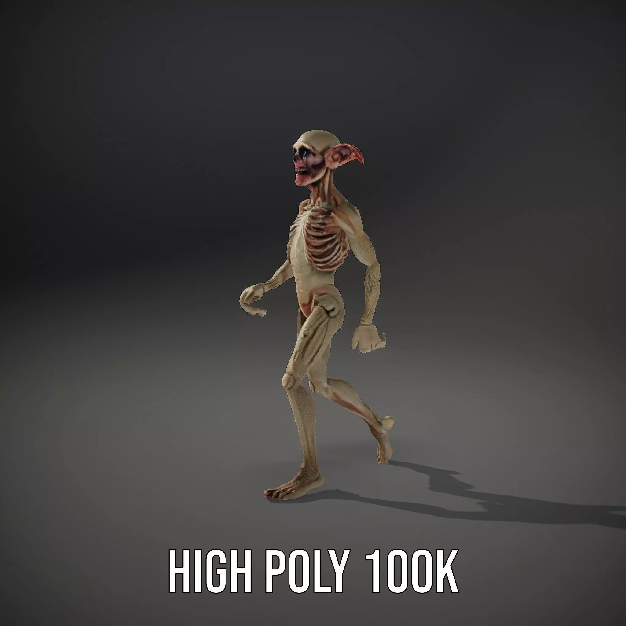 Fantasy Creature Skeleton model pack Low-poly 3D model_18