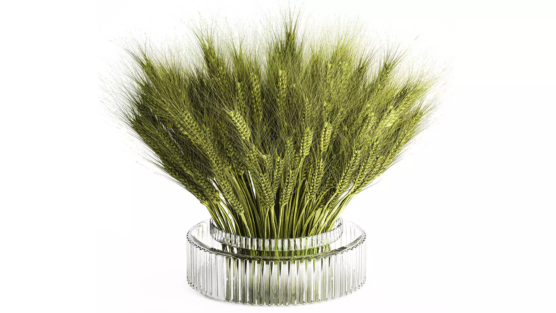 Green floral bouquet of wheat ears in a glass vase 610 3D model