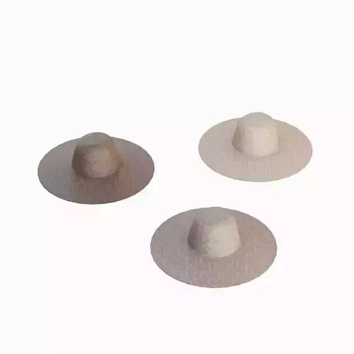 Farmers Hat Set Low-poly 3D model