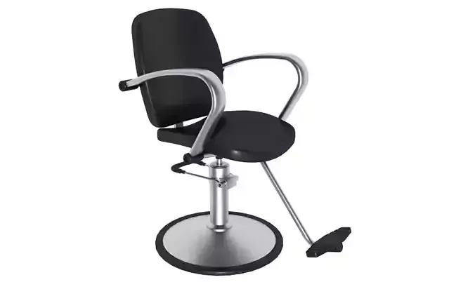 Salon Chair