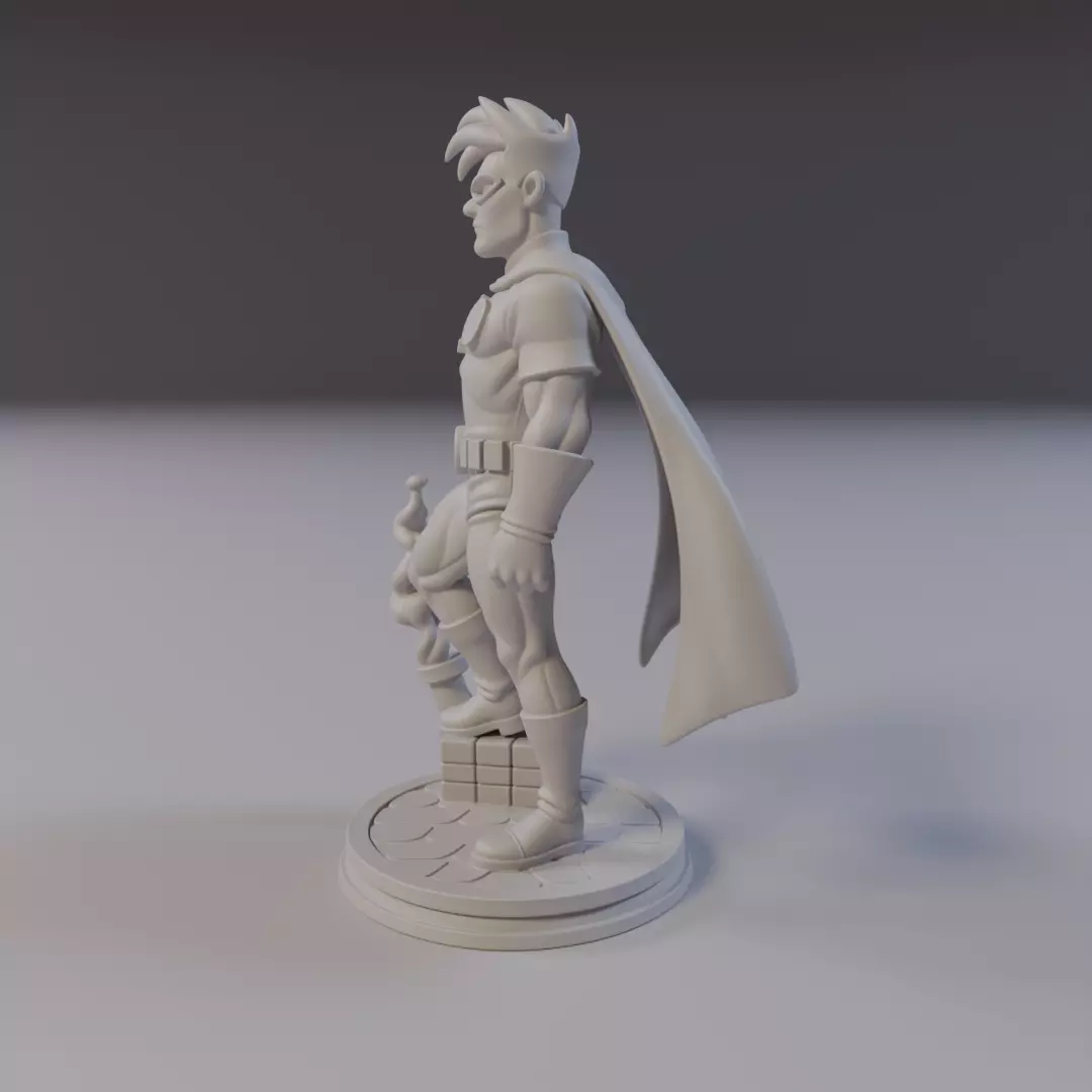 Robin Justice League 3D print model_3