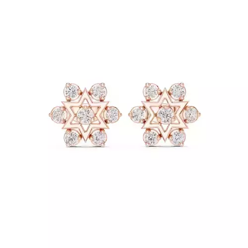 Diamond Studs Earrings 3dm stl renders animation videos details