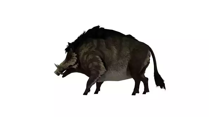 Wild Boar Creature 3D Model  Rigged Game Ready Fantasy Animal
