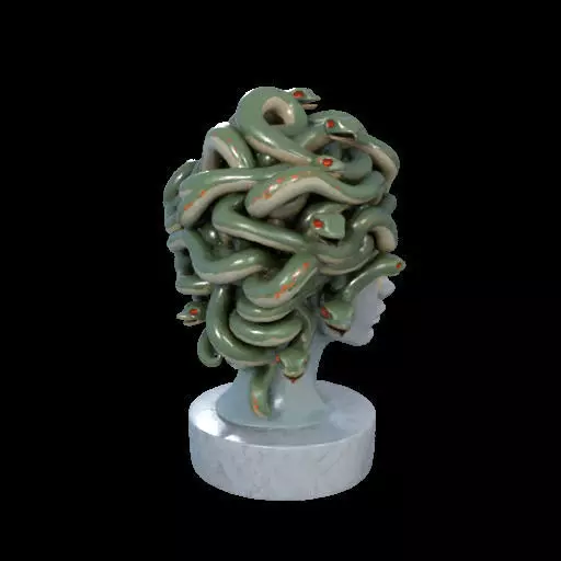 1994  Medusa Gorgon Head 3D Model  magic 3D print model_31