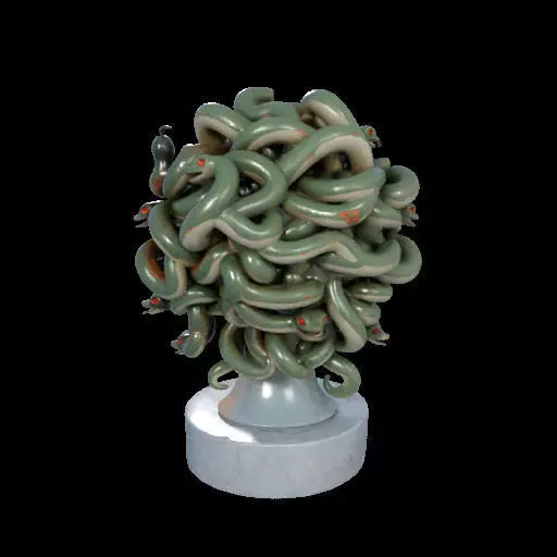 1994  Medusa Gorgon Head 3D Model  magic 3D print model_10