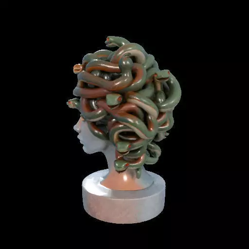 1994  Medusa Gorgon Head 3D Model  magic 3D print model_18