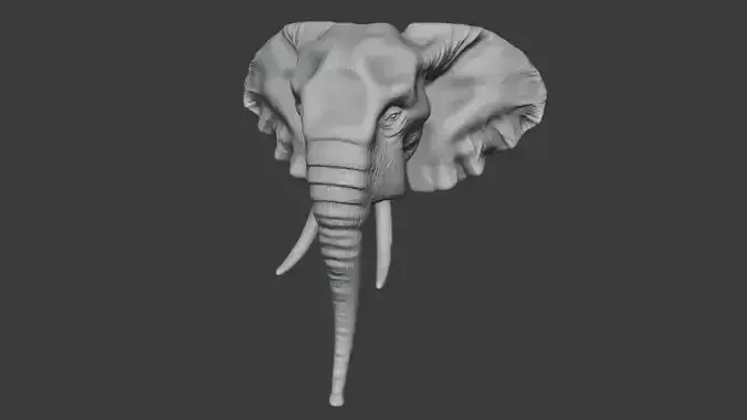 Elephant Head