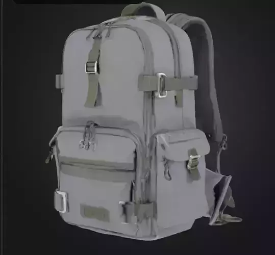 Backpack gray color 