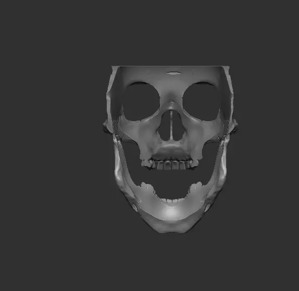 Skull Mask 3D print model_3