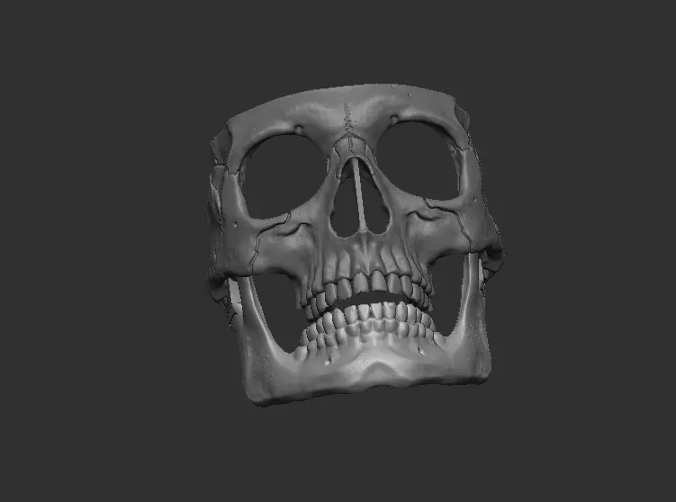 Skull Mask 3D print model_4