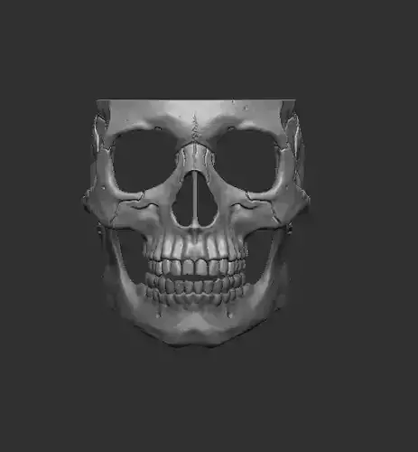 Skull Mask