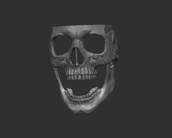 Skull Mask 3D print model_2