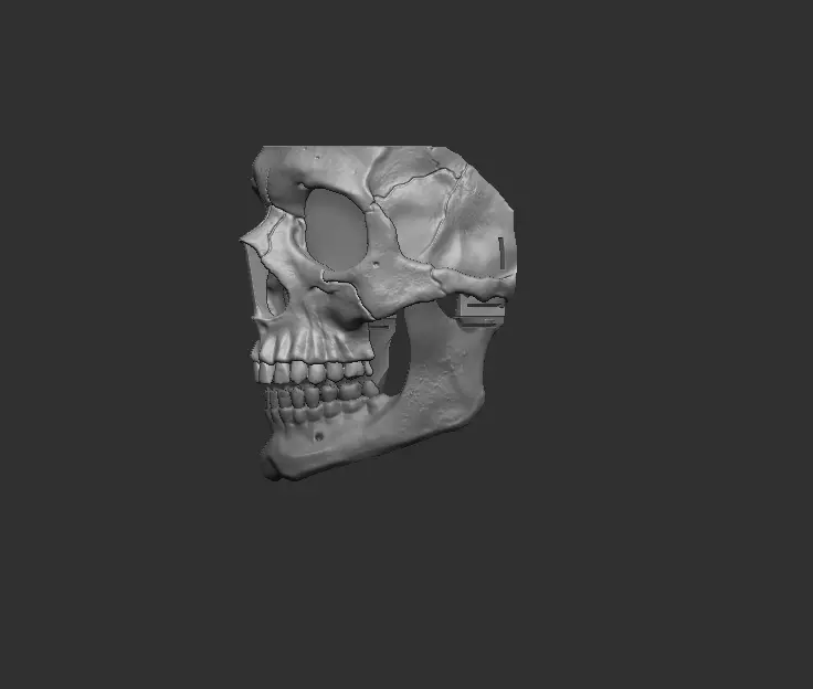 Skull Mask 3D print model_1