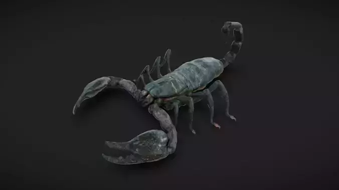 Scorpion - Read Description