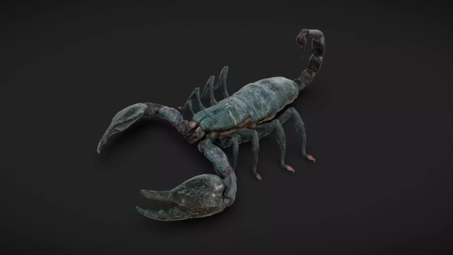 Scorpion - Read Description Low-poly 3D model