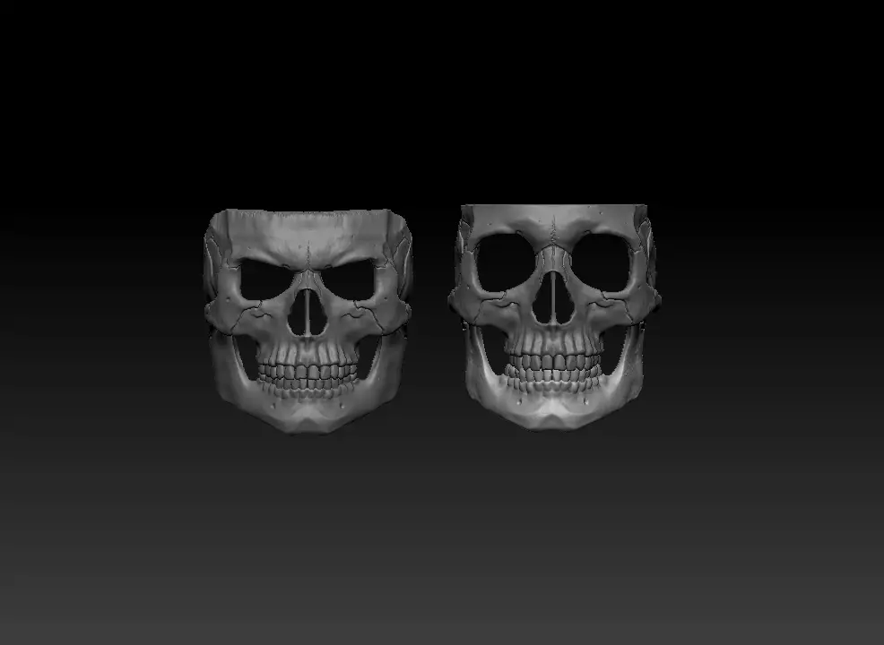 Skull mask pack 3D print model