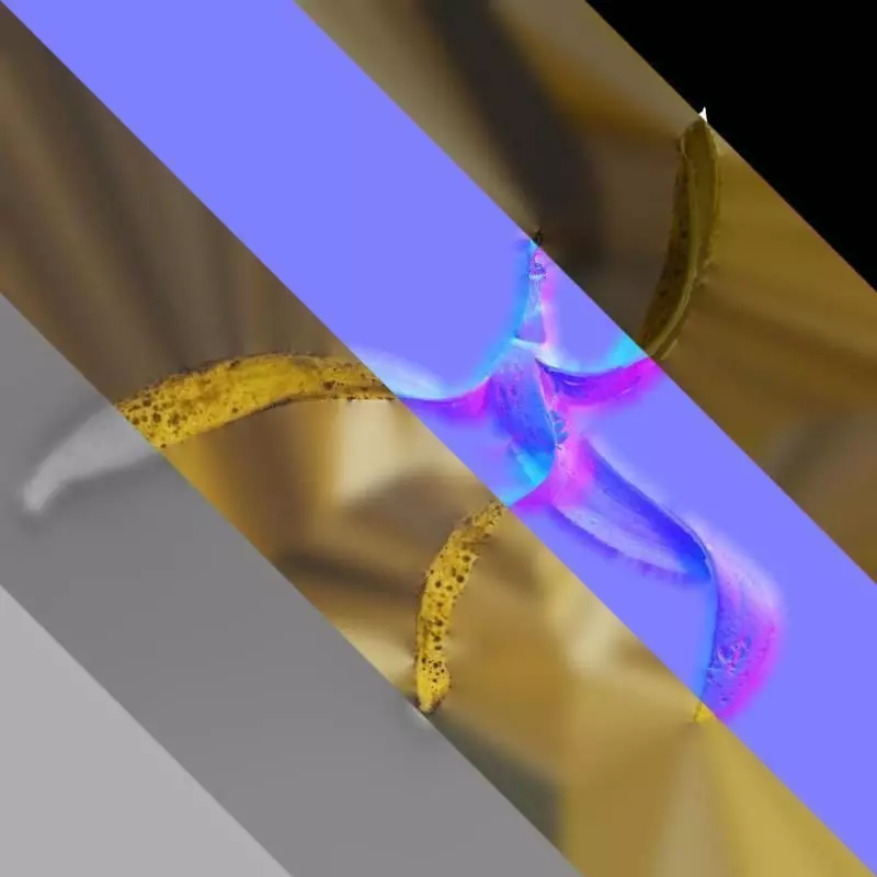 Anydrafts Banana peel 14 Texture_8