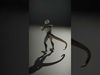 Reptilian Alien Portrait Pack 3D Model Collection_22