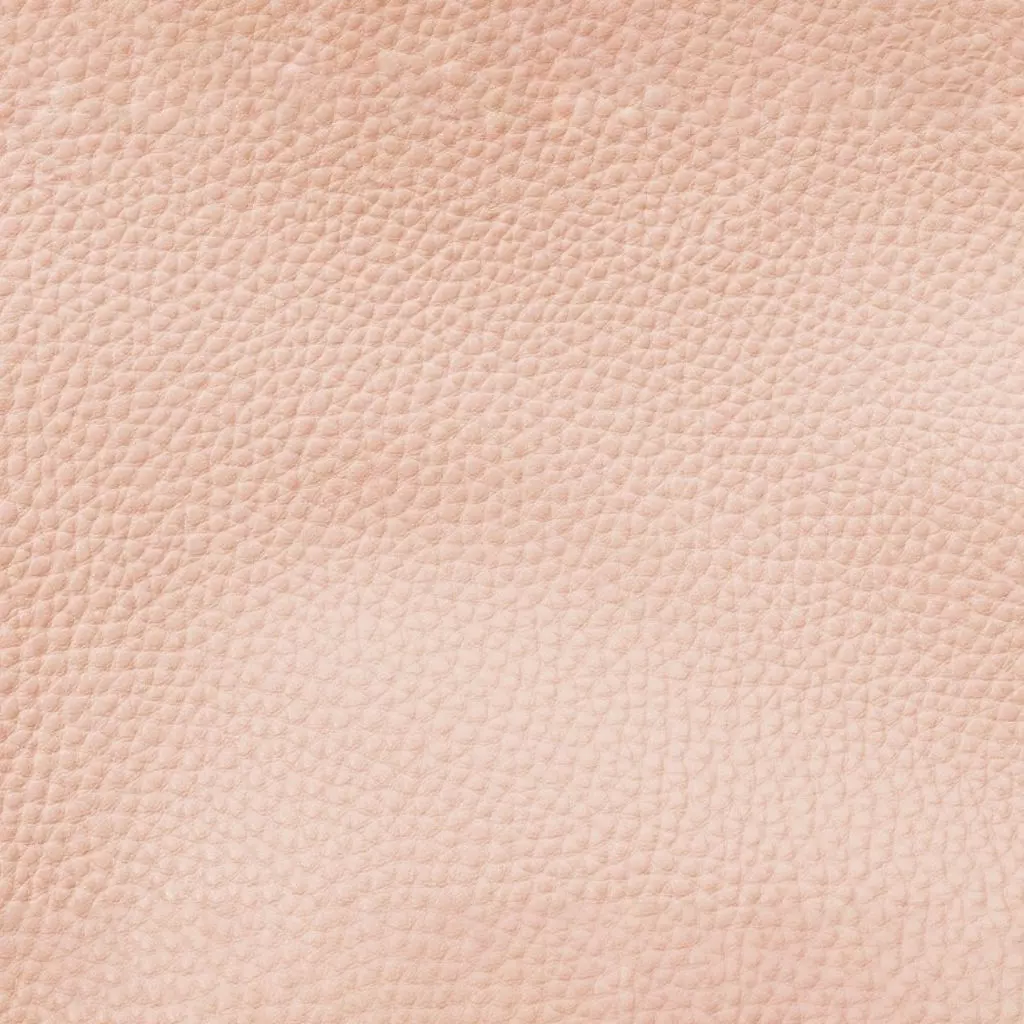 Chicken Egg Develipment Charecters 1-22 Day Low-poly 3D model Low-poly 3D model_2