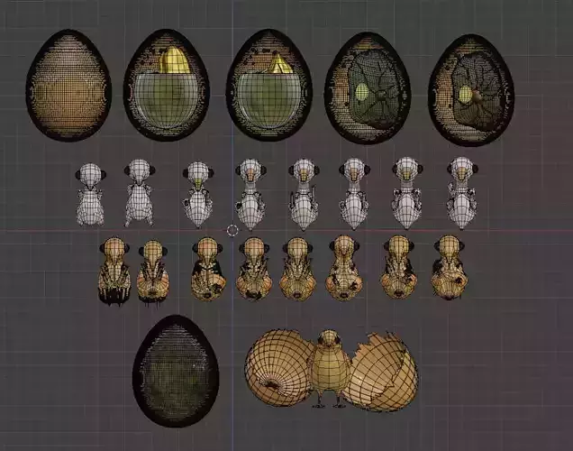Chicken Egg Develipment Charecters 1-22 Day Low-poly 3D model