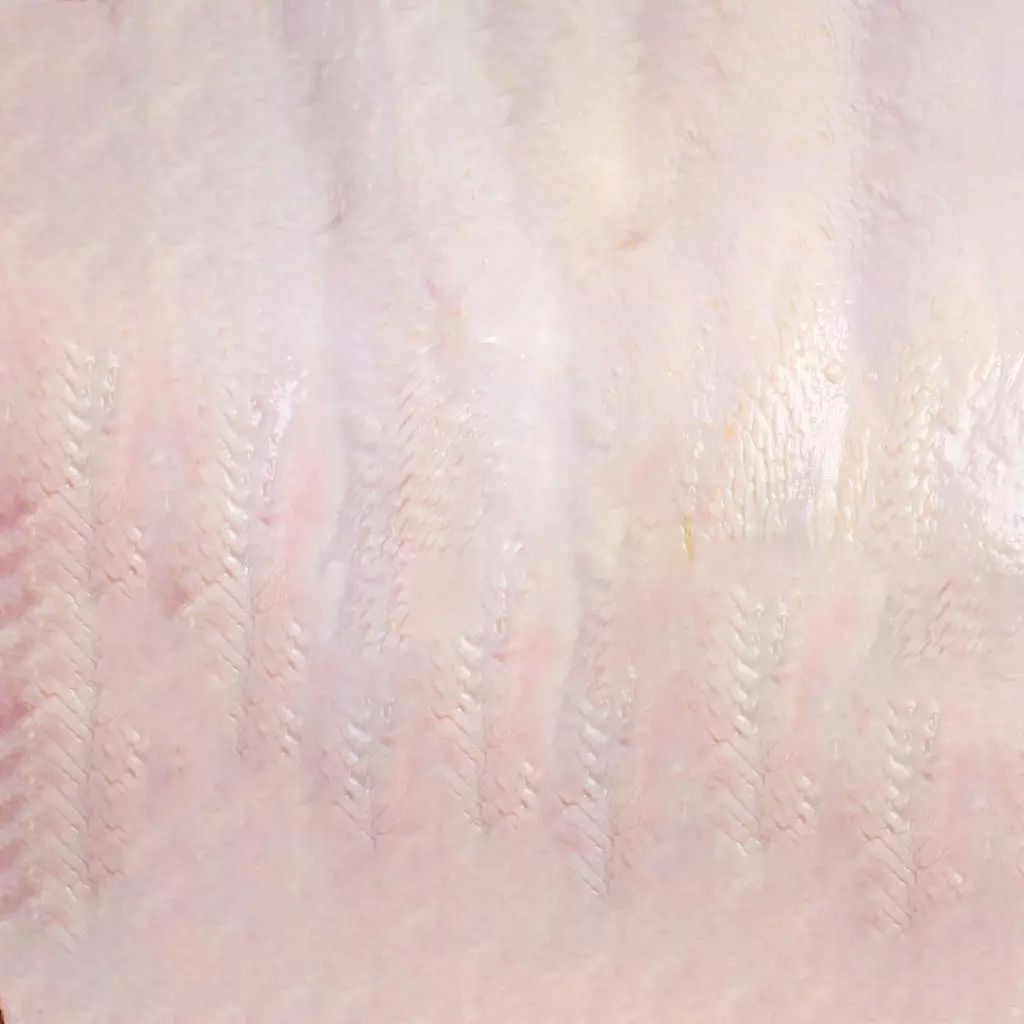 Chicken Egg Develipment Charecters 1-22 Day Low-poly 3D model Low-poly 3D model_3