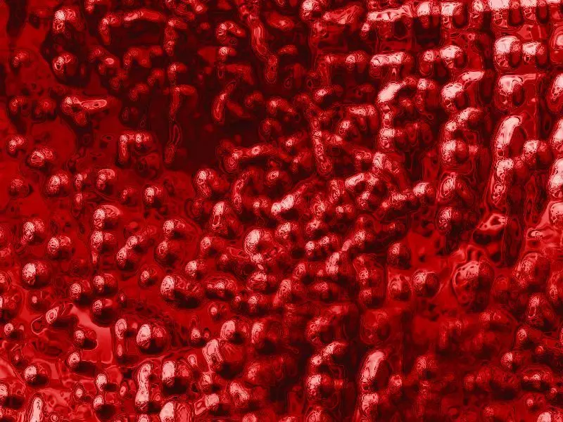 Chicken Egg Develipment Charecters 1-22 Day Low-poly 3D model Low-poly 3D model_4