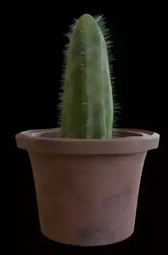 Ugly cactus in an ugly pot