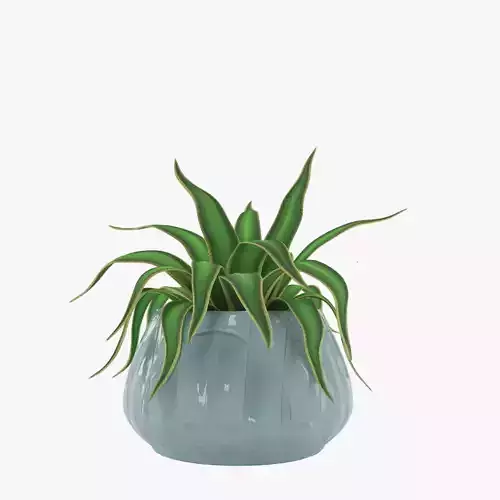Green plant in a blue pot 