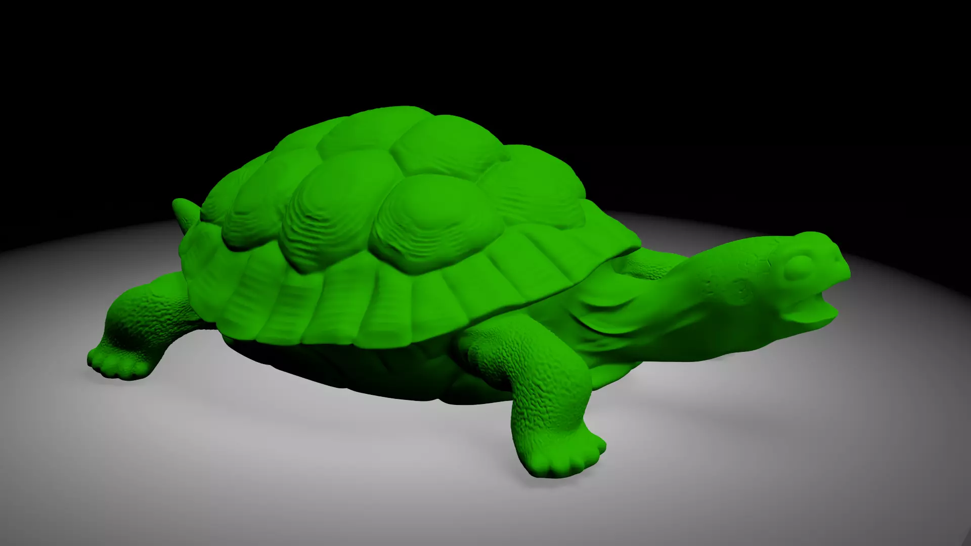 Tortois 3D print model_0