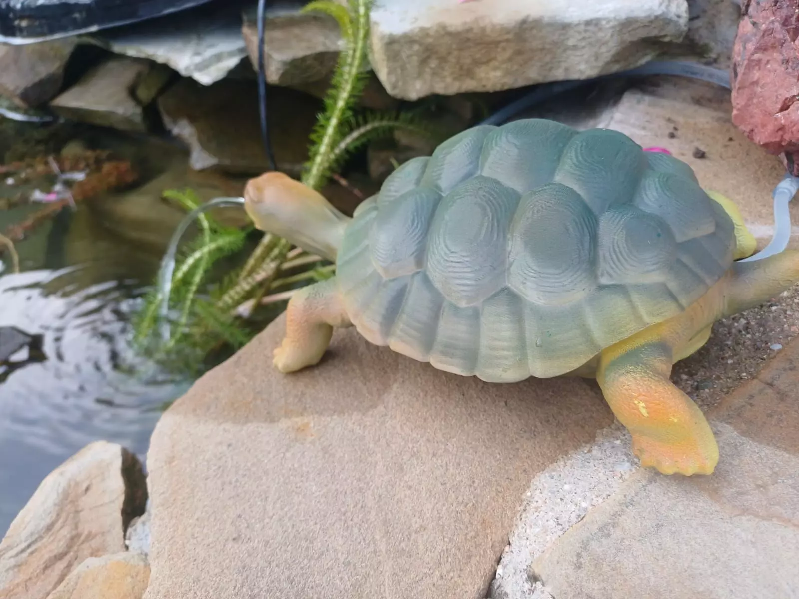 Tortois 3D print model_6