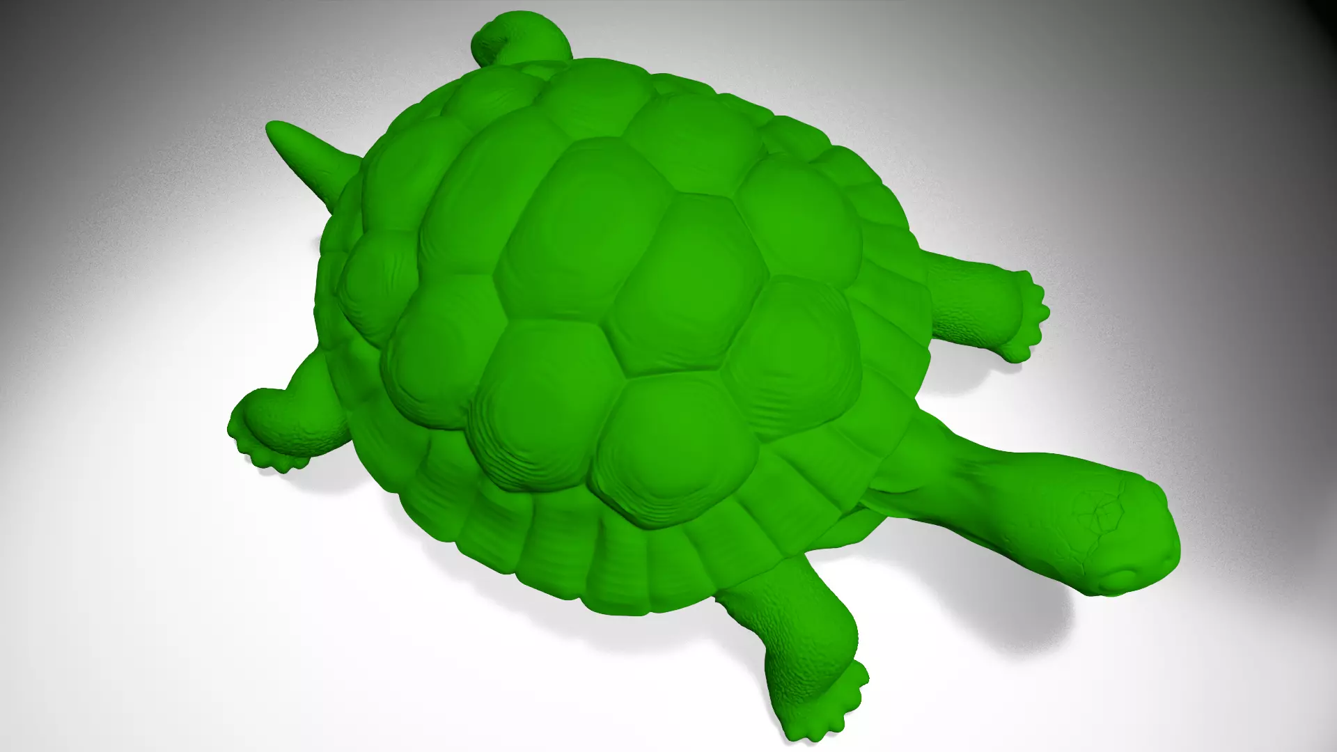 Tortois 3D print model_4