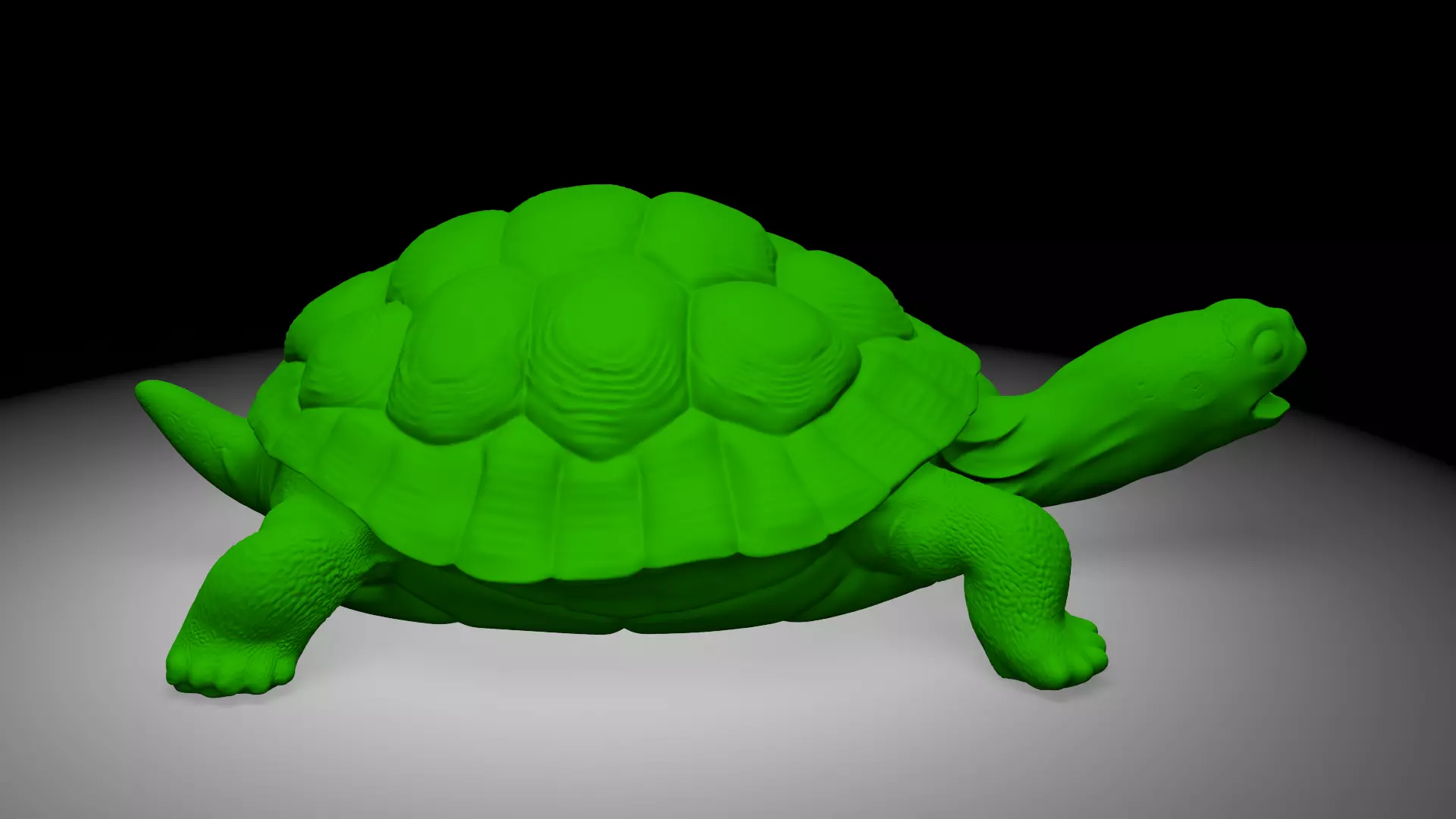 Tortois 3D print model_2