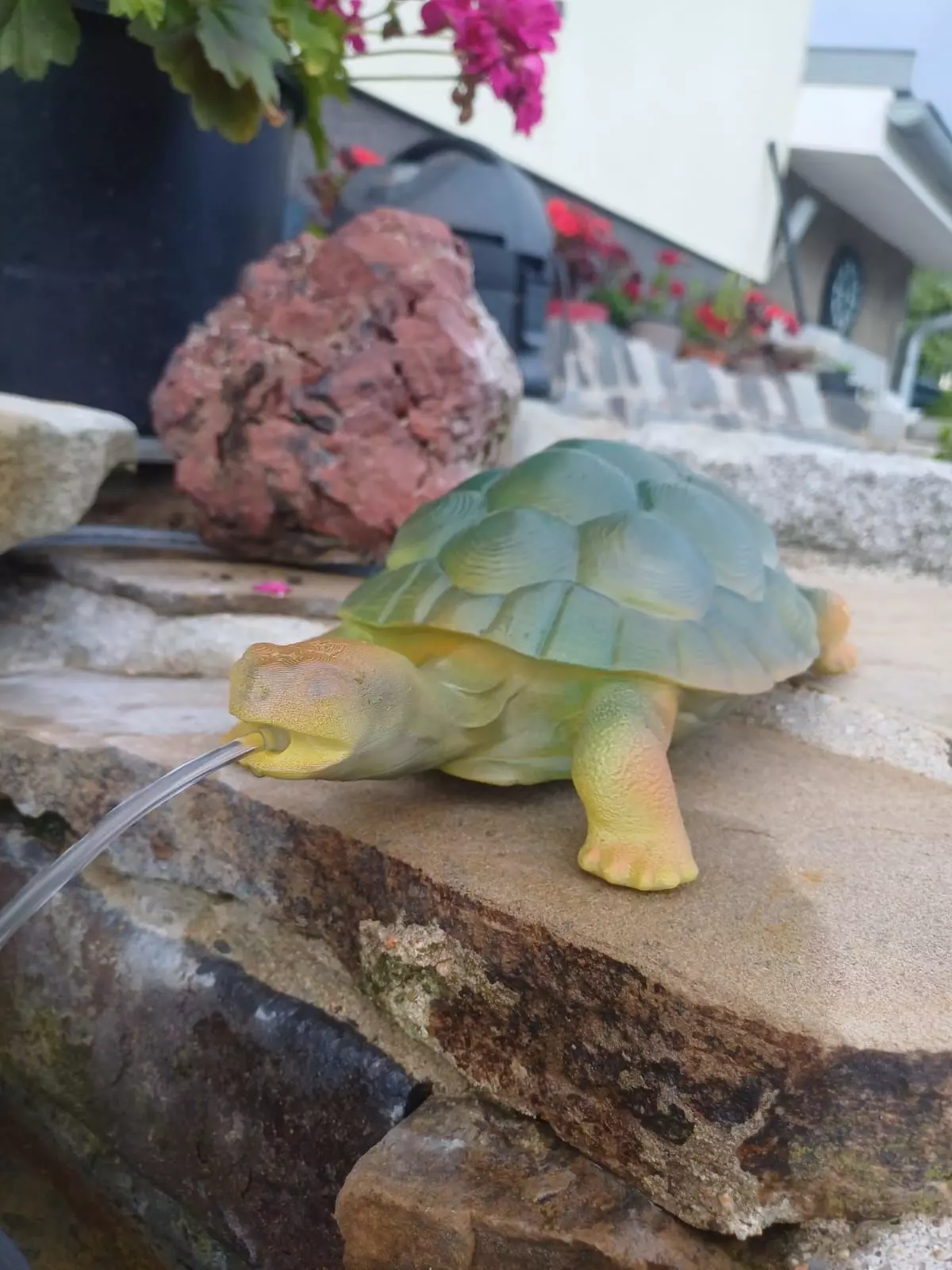 Tortois 3D print model_5