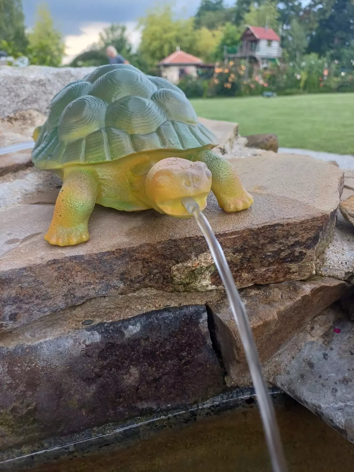 Tortois 3D print model_8