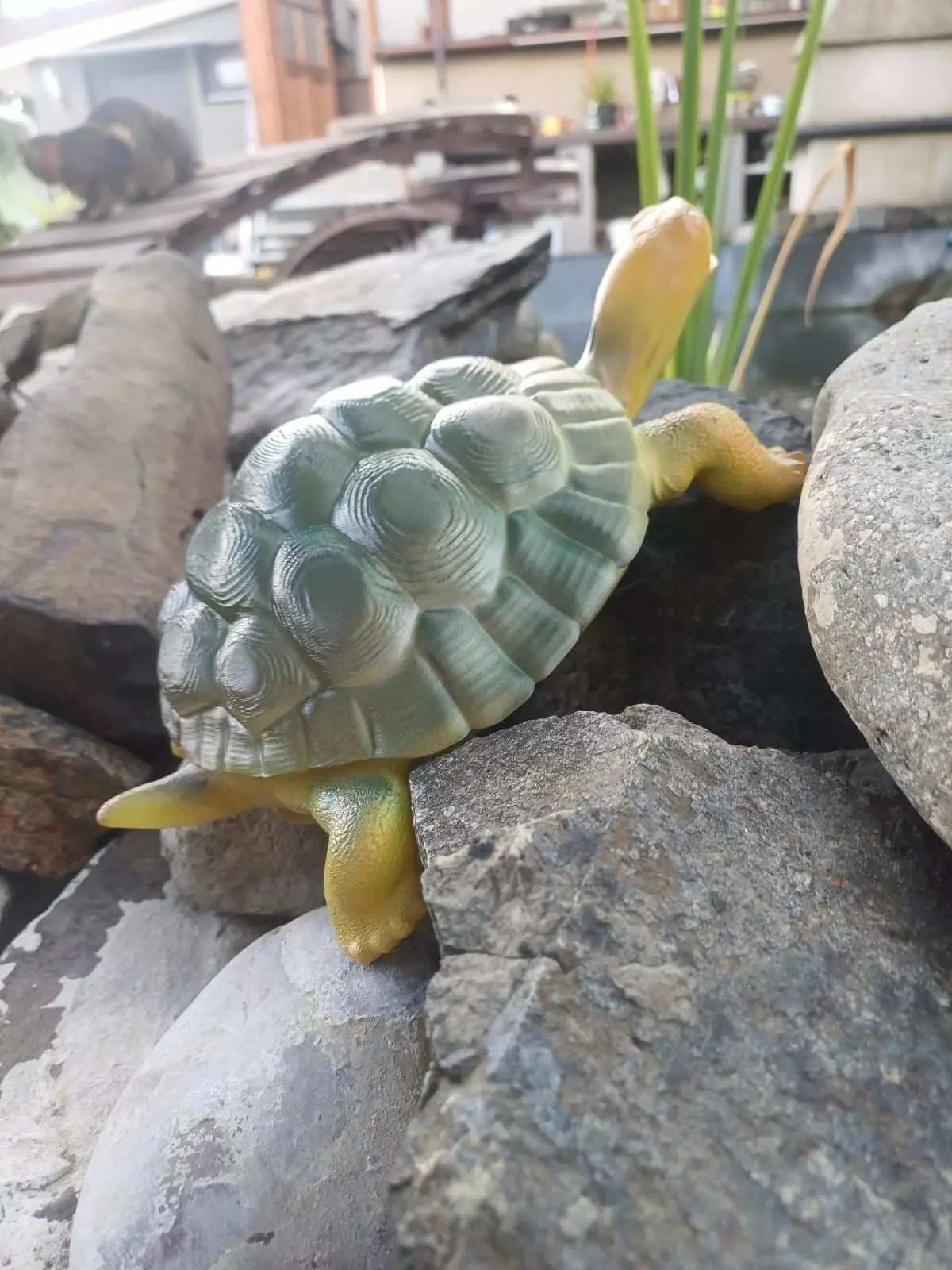 Tortois 3D print model_9