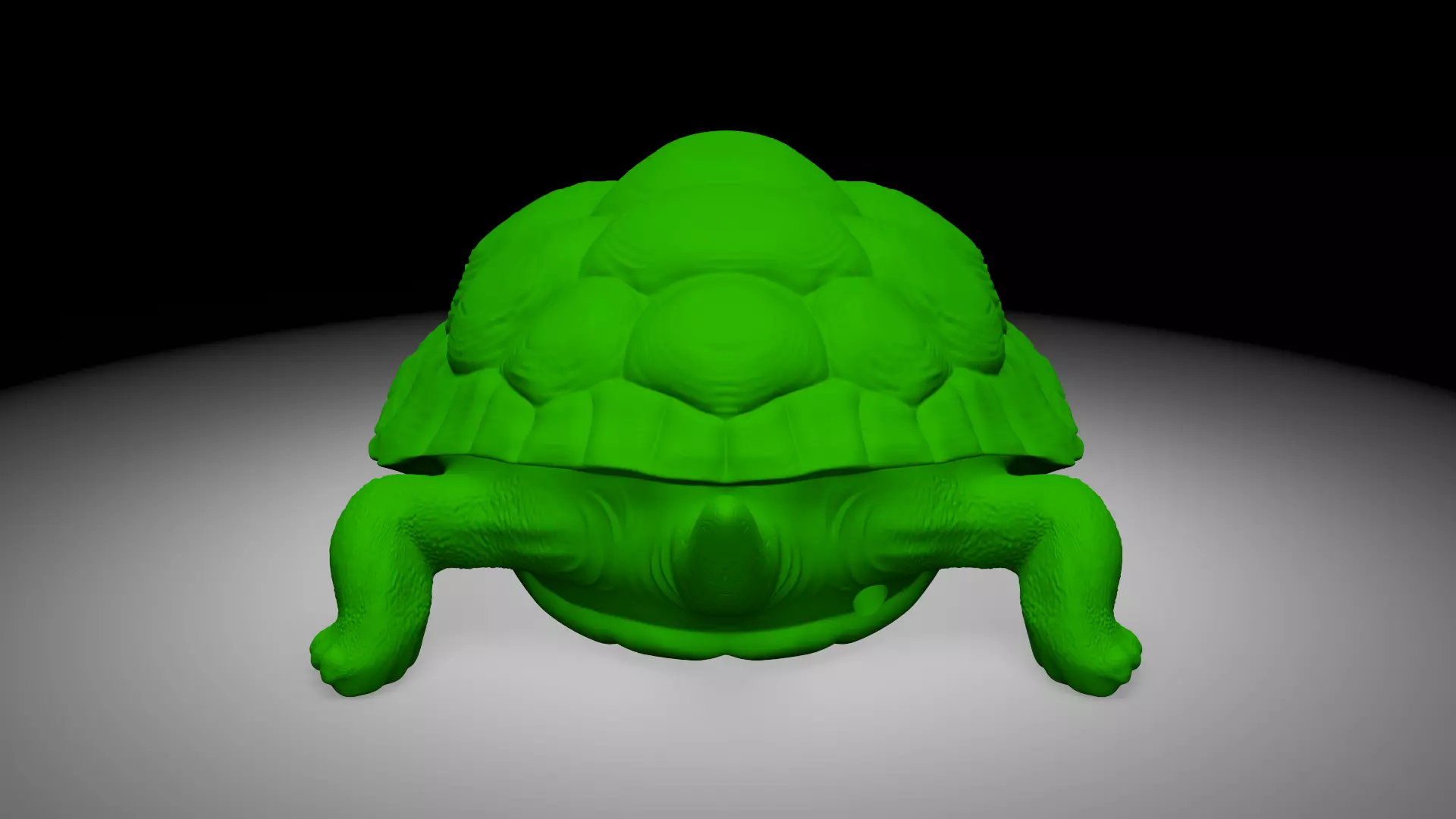 Tortois 3D print model_3