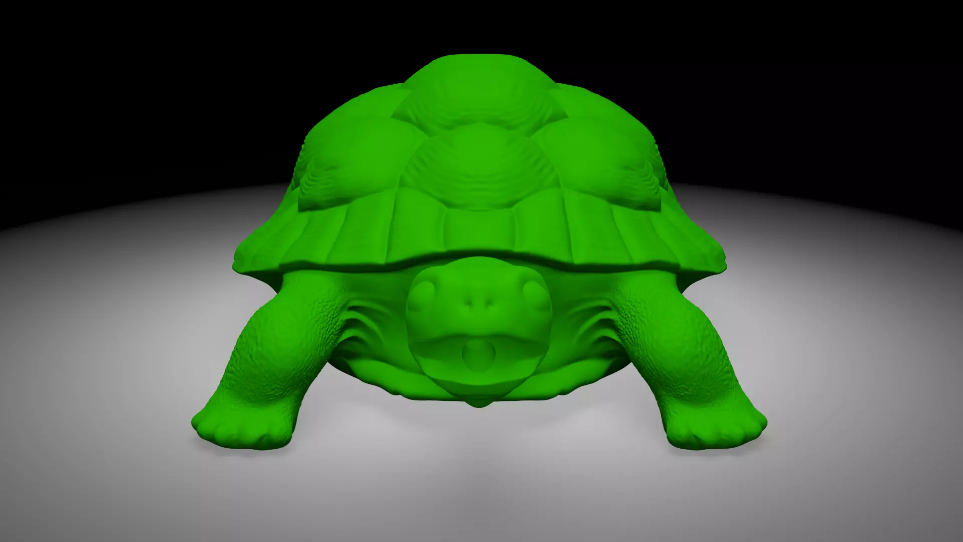Tortois 3D print model_1