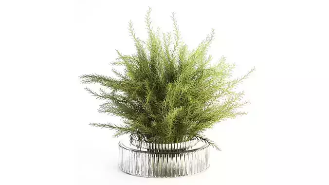 Floral green bouquet Asparagus branches glass vase 611 3D model