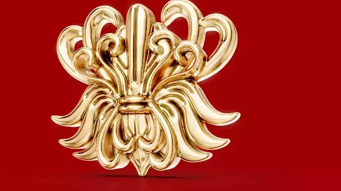 Elegant ornament Earrings