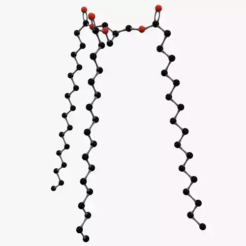 Triacylglycerol Molecule